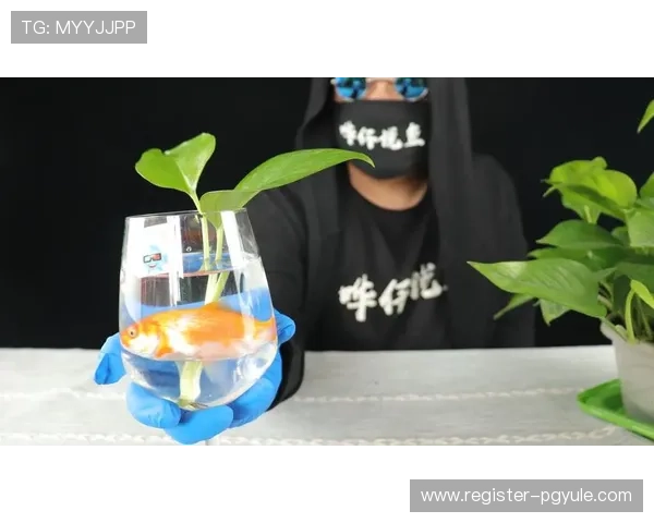 博鱼真人平台为玩家提供安全可靠的真人娱乐体验保障